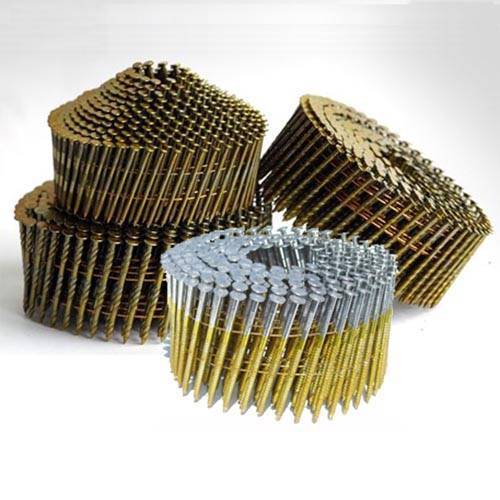 MS coil nail, Length : 1-2 inch
