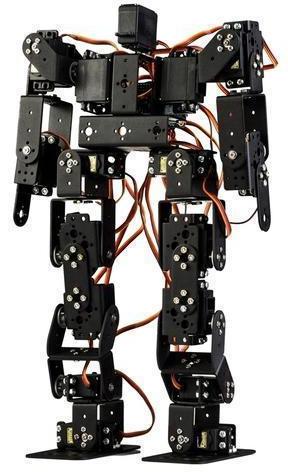 Humanoid Robot System