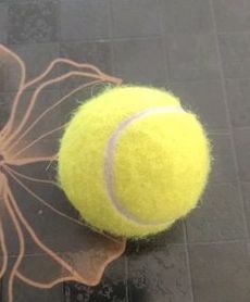 Plain Nitrile Rubber Cricket Tennis Ball, Size : Standard
