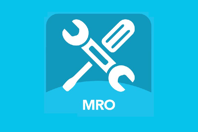 MRO Material Master Data Cleansing services
