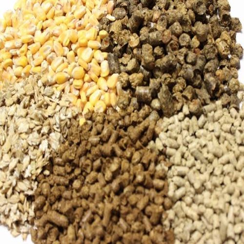 Common Animal feed, Packaging Type : Export Quality Packaging