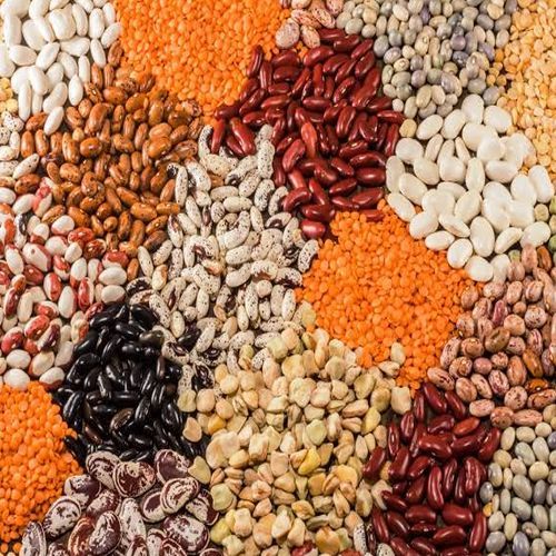 Common Pulses, for Cooking, Certification : FSSAI Certified