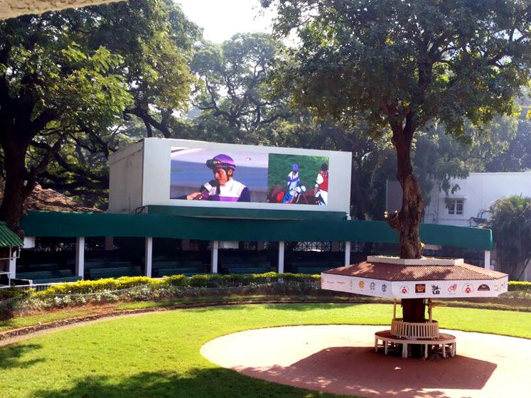 Racecourse LED Display, for Advertising, Shape : Rectangular