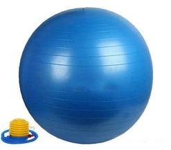  PVC Gym Ball, Color : Multi