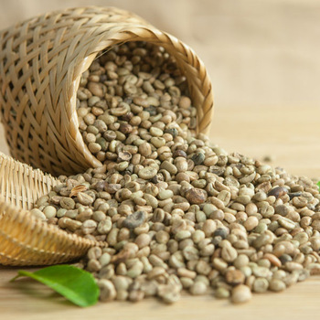 Arabica Coffee Parchment Green Beans (Grade A)