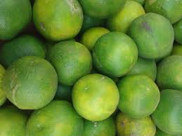 Fresh Citrus Limetta, Color : Light-green