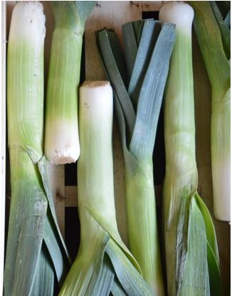 Fresh Leek