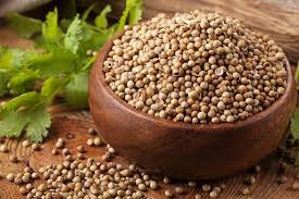 Natural coriander seeds, for Agriculture, Cooking, Food, Style : Raw