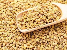 fenugreek seed
