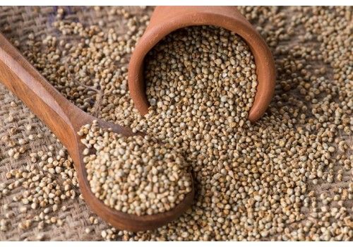 Common Natural Millets Seed, for Cattle Feed, Variety : Dried
