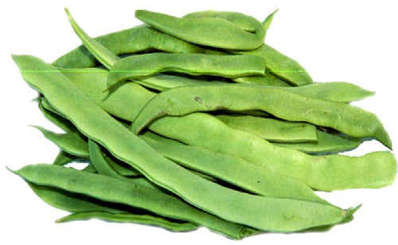 Organic Fresh Flat Beans