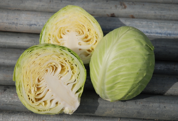 Fresh Natural Cabbage