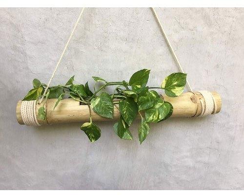 Folks Handcrafts Bamboo Flower Pot, Size : 14X5 Inch