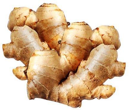 Organic Ginger, Packaging Type : Gunny Bags, Plastic Packet