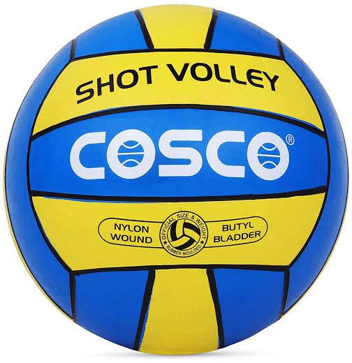 Round Pu Leather Volleyball, for Sports Playing, Size : Standard