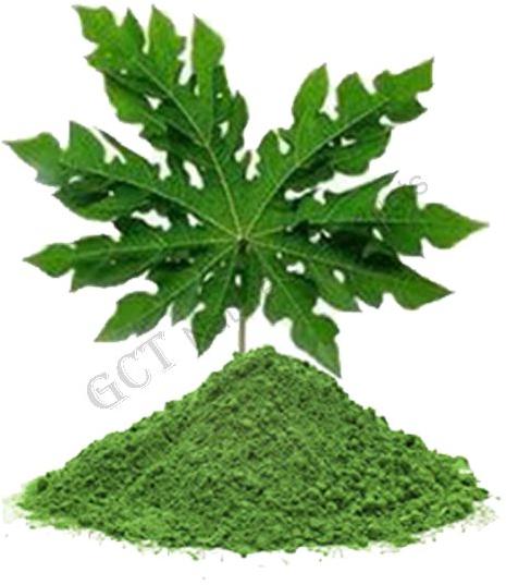 Papaya Leaf Powder