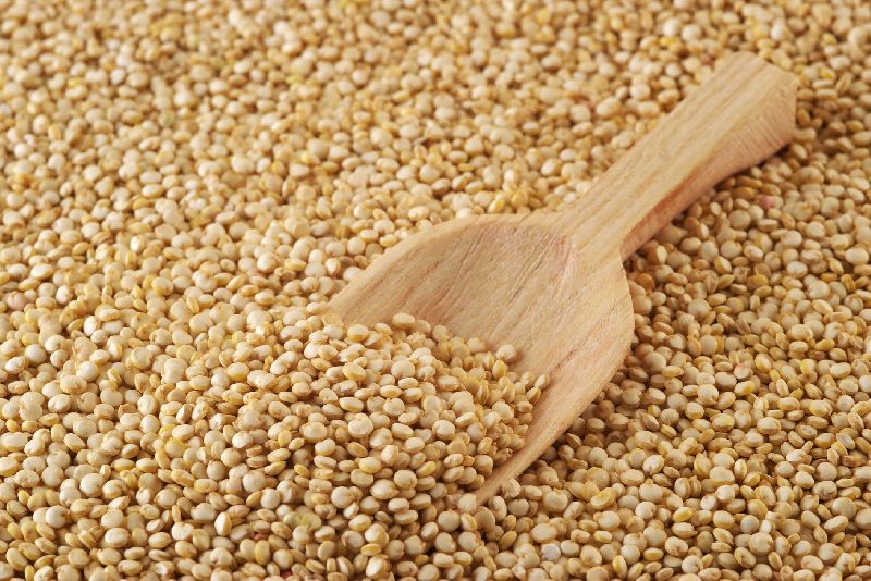 Organic Quinoa Seeds, Purity : 98%