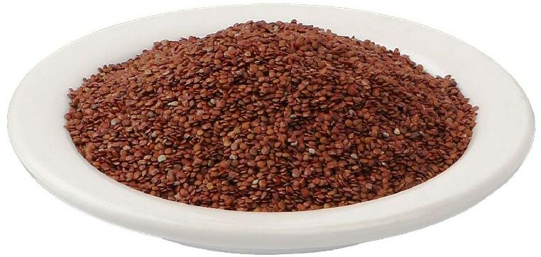 Lajwanti Seeds