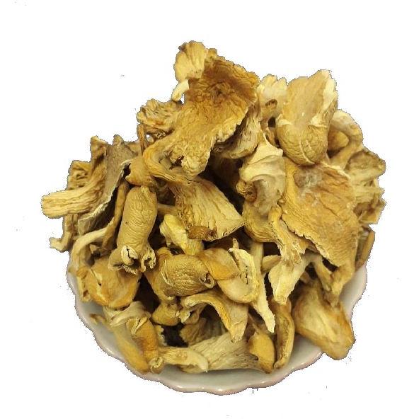 Dried Oyster Mushroom, for Cooking, Packaging Type : Plastic Bag