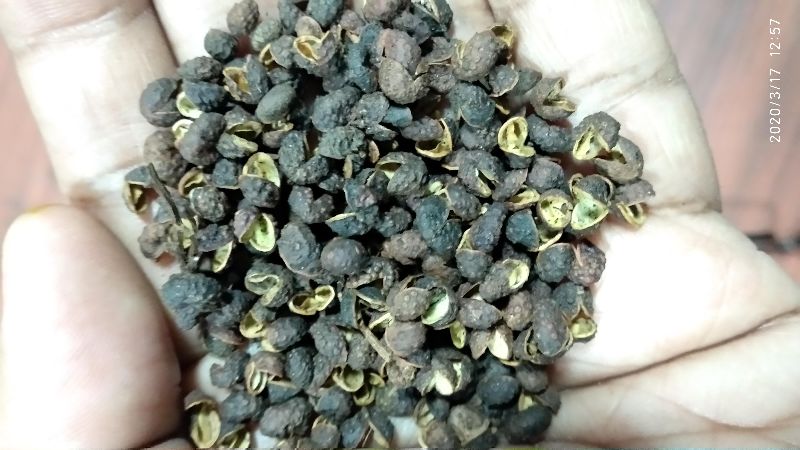 Szechuan pepper, Color : Black