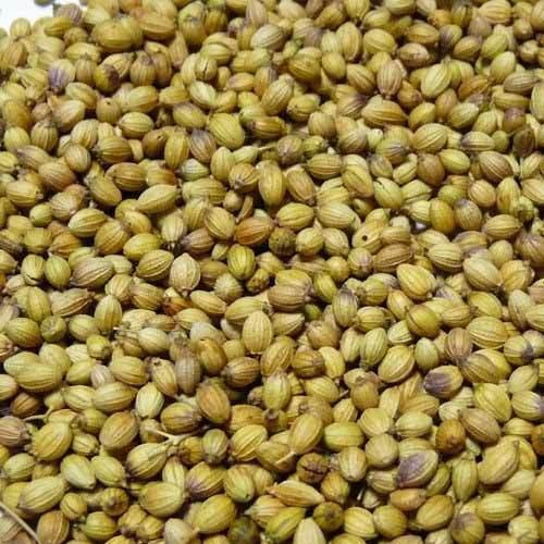 Organic coriander seeds, Certification : FSSAI