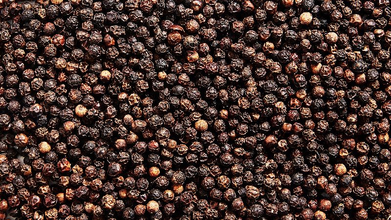 Organic Black Pepper Seeds, Packaging Size : 50-100 kg