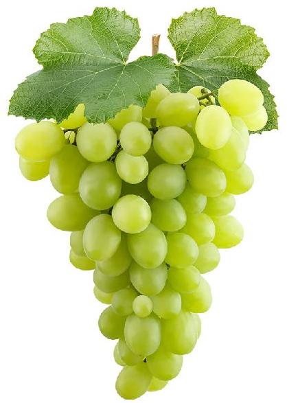 Organic Fresh Green Grapes, Packaging Size : 50-100 kg