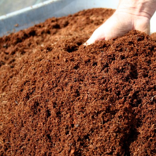 Coco Peat Powder, Color : Red