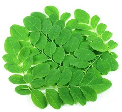 Organic Fresh Moringa Leaves, for Cosmetics, Medicine, Feature : Insect Free, Nice Aroma