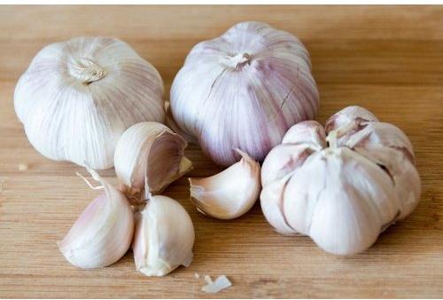 Fresh Natural Garlic, for Cooking, Fast Food, Snacks, Packaging Type : Gunny Bags, Net Bags