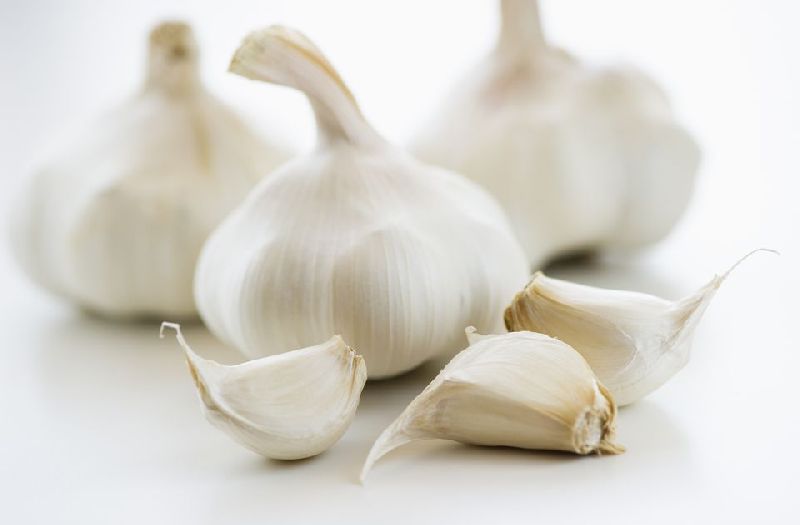 Fresh Organic Garlic, for Cooking, Fast Food, Snacks, Packaging Type : Gunny Bags, Net Bags