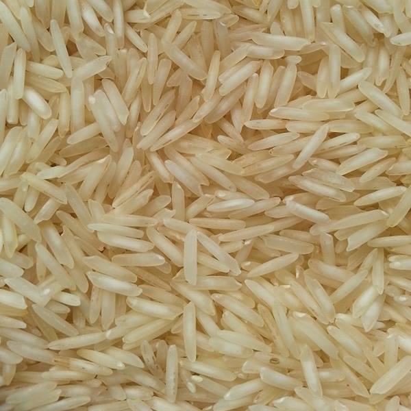 Organic Sugandha Basmati Rice, Shelf Life : 1year
