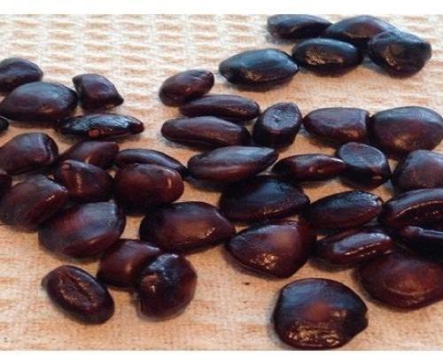 Dried Tamarind Seeds, Packaging Size : 40kg