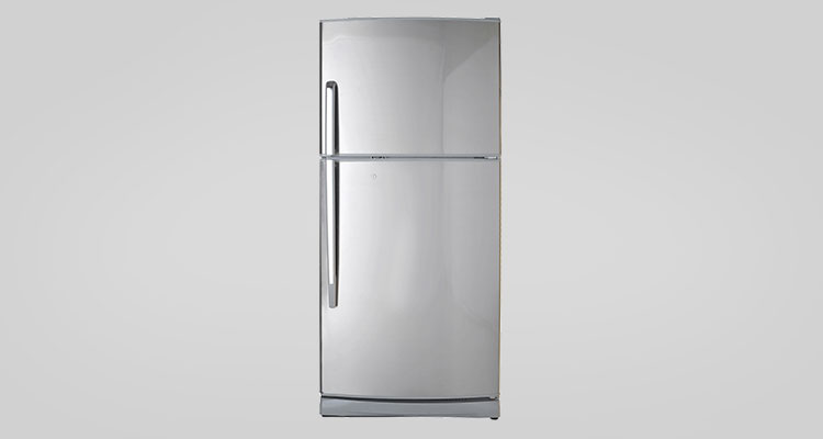 Refrigerator repairing service