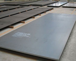 Stainless Steel Plates, Shape : Flat