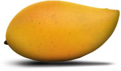 Totapuri Mango