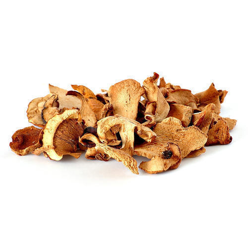 Brown Dried Oyster Mushroom
