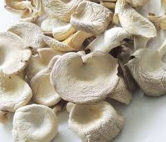 White Dried Oyster Mushroom, Shelf Life : 3 Months