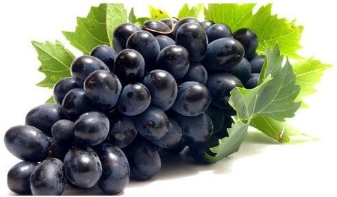 Organic Fresh Black Grapes