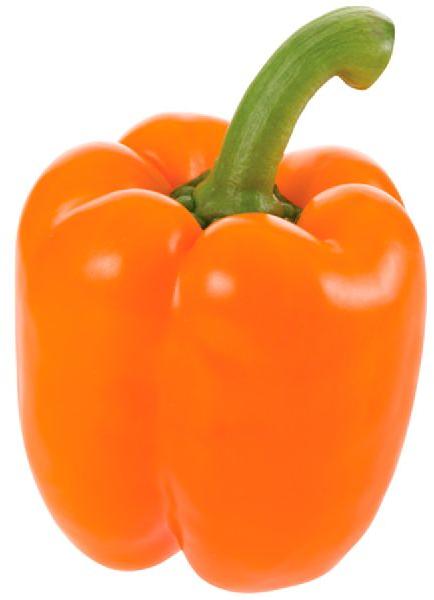 Fresh Orange Capsicum, for Cooking, Style : Natural