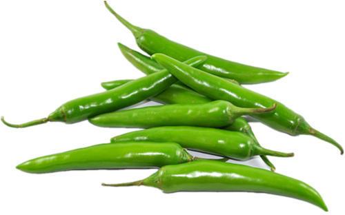 fresh green chilli