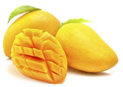Fresh mango, Variety : Alphonso