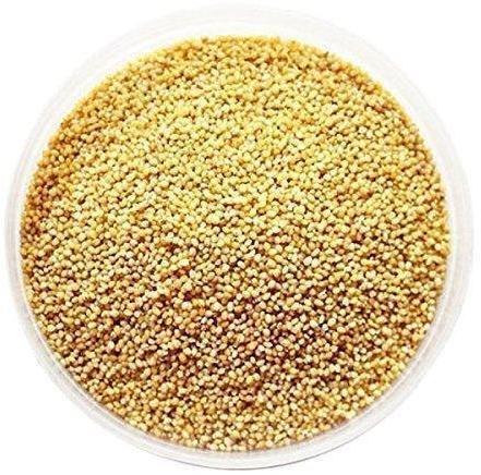 Organic Hybrid Millet Seeds, for Agriculture, Packaging Type : Packet