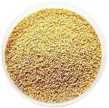 Hybrid Millet Seeds