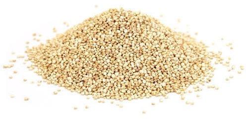 Hybrid Quinoa Seeds