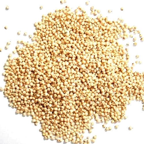 Hybrid Sorghum Seeds, Packaging Size : 10 kg, 20 kg