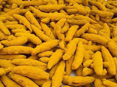 Raw Organic Turmeric Finger, Color : Yellow