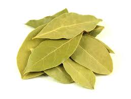 bay leaf