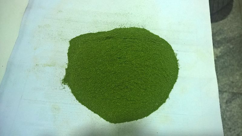 moringa powder