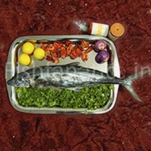 Fresh Whole Surmai Fish, for Mess, Restaurants, Certification : FSSAI Certified